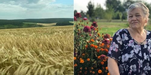 Пять сел Кировоградщины соревнуются за звание красивого села в Украине