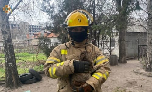 Котика и собачку спасли на Кировоградщине