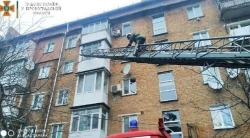За котика на Кировоградщине пришлось доставать автолестницу