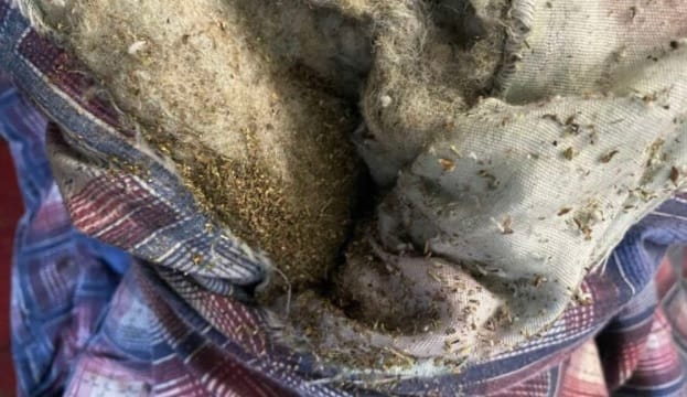 В СИЗО в Кропивницком в одеяле пытались передать наркотики