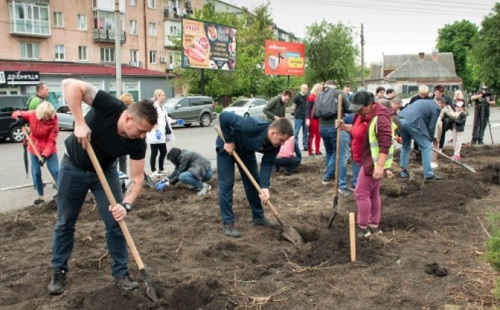 Переселенцы высадили в Кропивницком Розы Победы