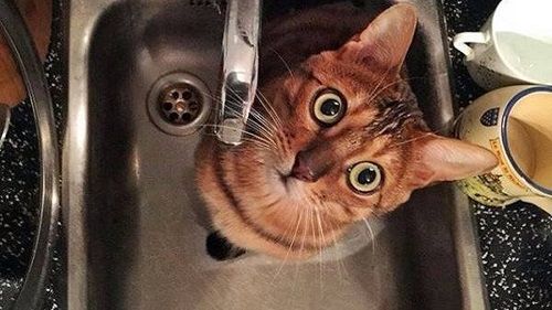У Кропивницькому частково відключили водопостачання