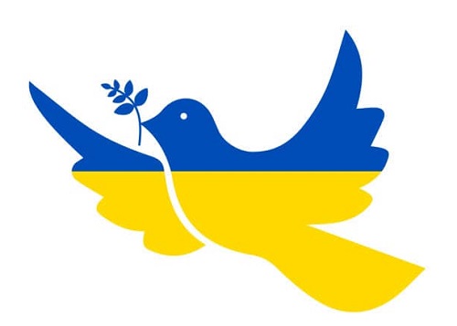 Райкович відзвітував про ситуацію в області