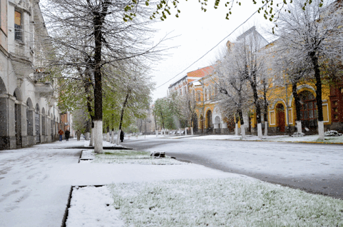 Синоптики розповіли, коли на Кіровоградщину повернеться зима