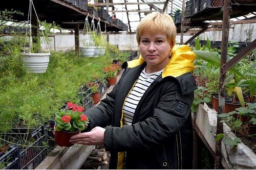 Не дивлячись на війну: в Кропивницькому готуються прикрасити місто квітами