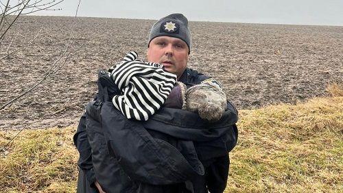 В лікарні і в комі: стали відомі подробиці зникнення і пошуків 2-річного хлопчика