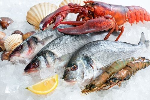 Качественная рыба оптом от компании "Суши Продукт"