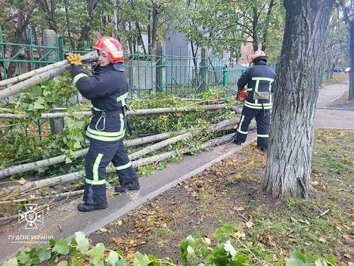 Дерева, балкони, білборди: на Кіровоградщині рятувальники ліквідували наслідки буревію