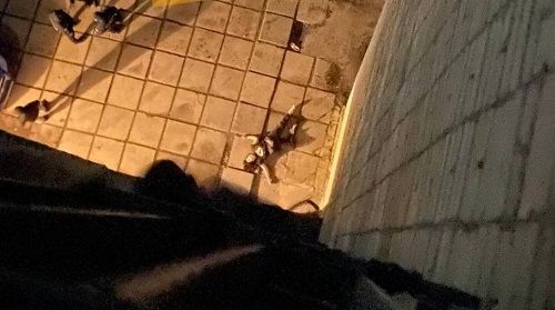 Самогубство студентки в Кропивницькому: стали відомі причини