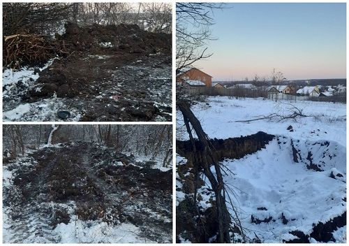 В Кропивницькому в парку вирубали дерева і зняли шар ґрунту