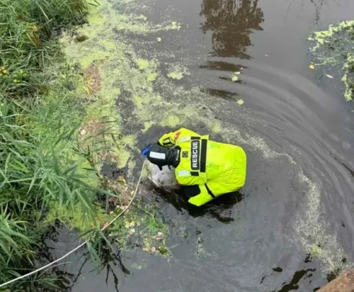 В Олександрії знайшли труп