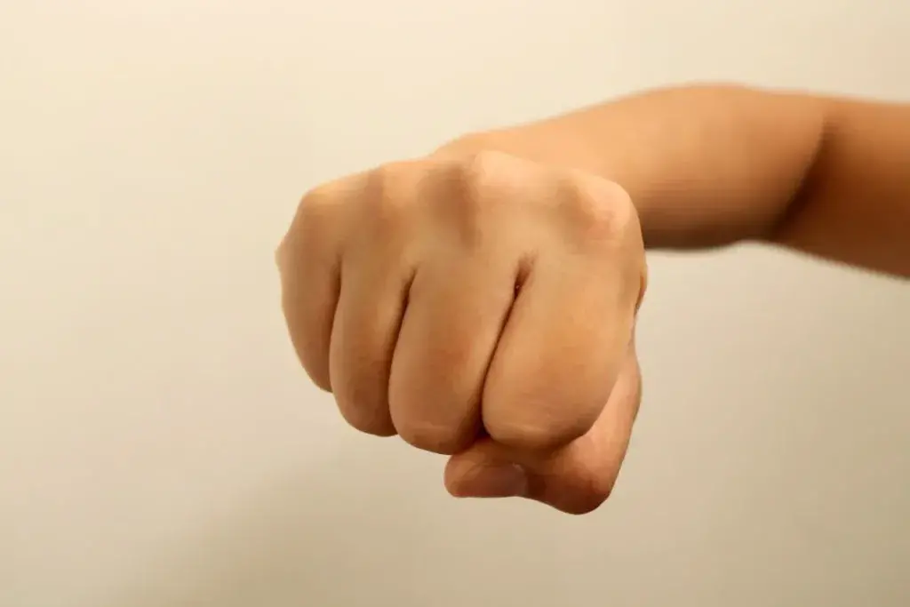 Бійка