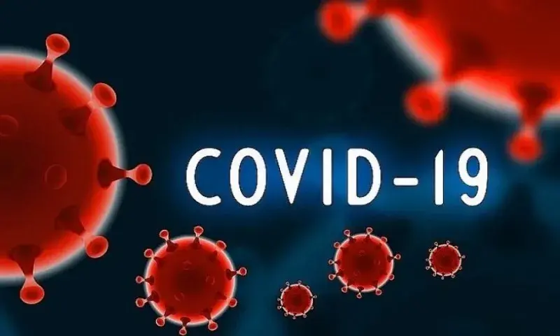 COVID-19