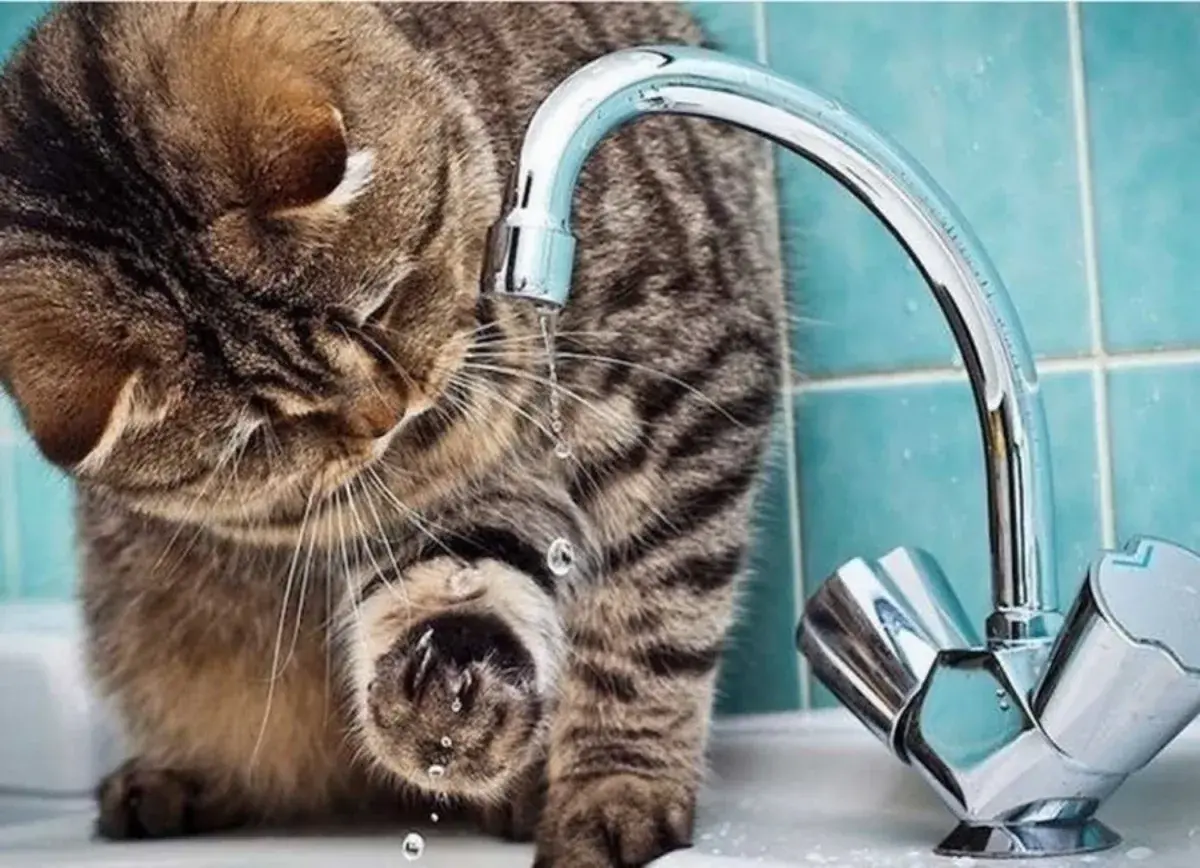 Відключення води