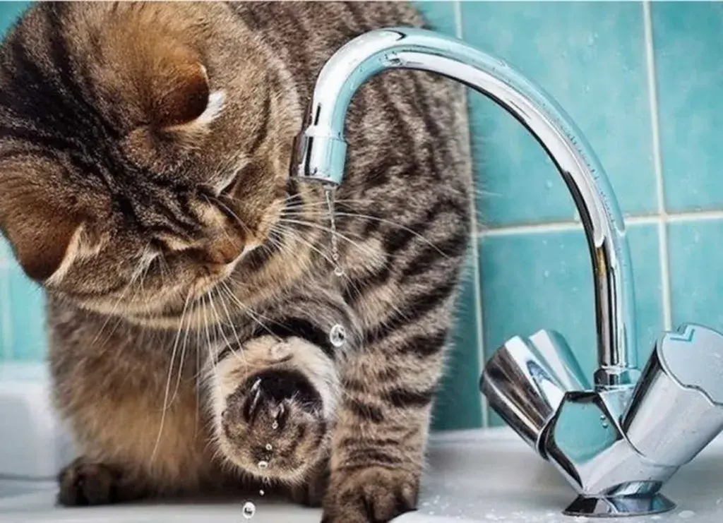 Відключення води