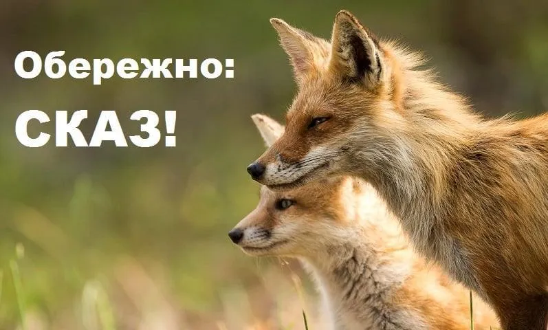 Сказ