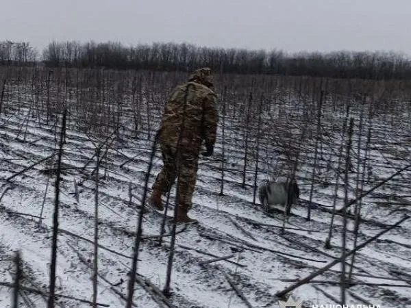 Вибухотехнічні роботи