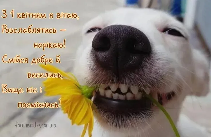 Привітання