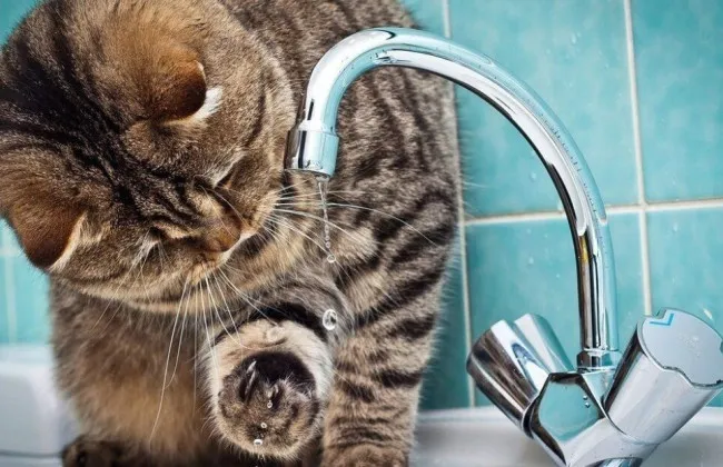 Відключення води