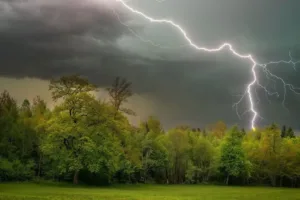 Погода