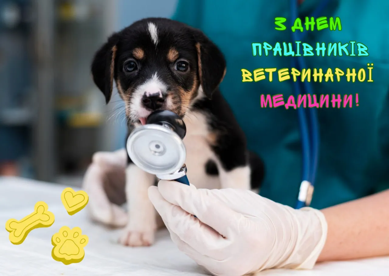 З Днем ветеринара
