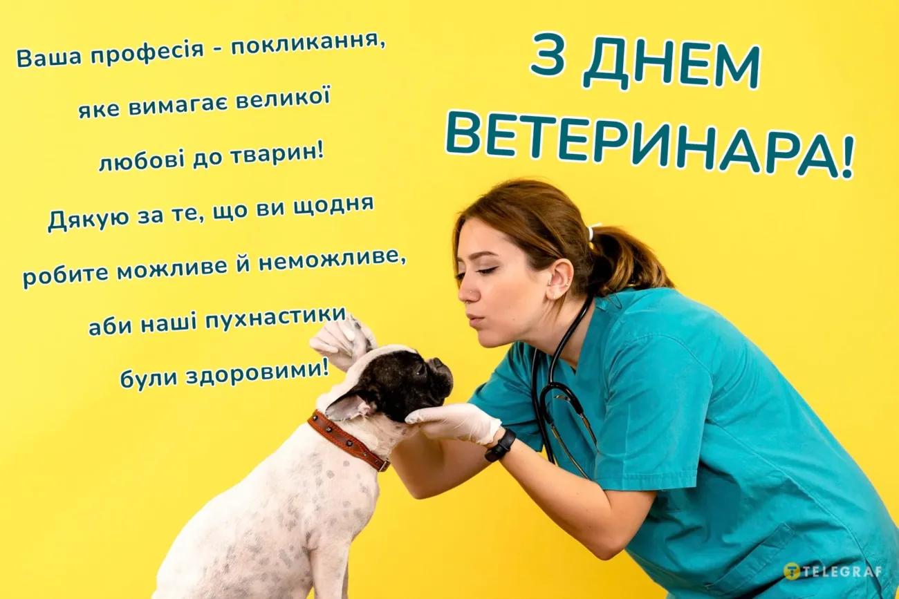 З Днем ветеринара