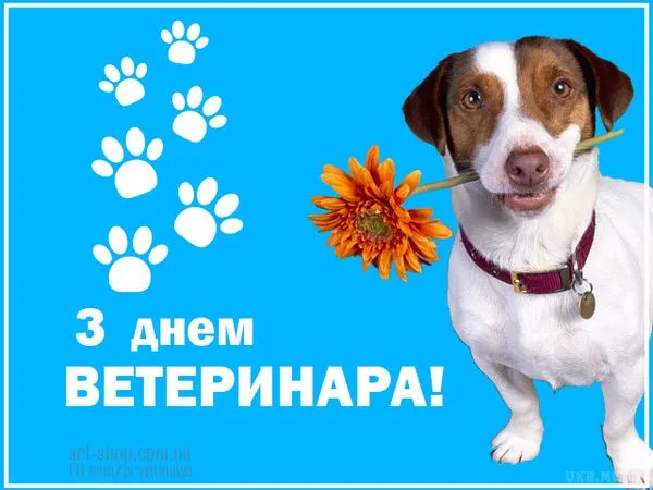 З Днем ветеринара